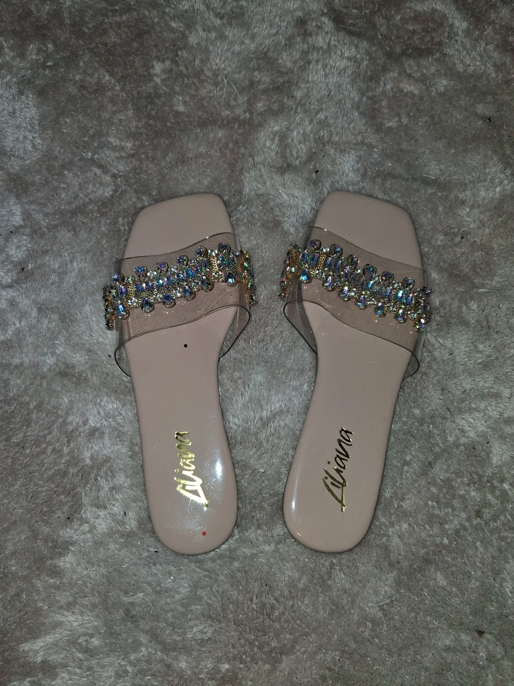 Liana Nude Embellished Crystal Slide Sandals